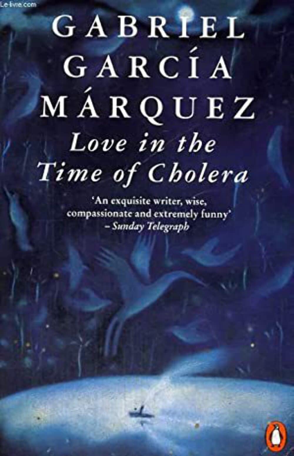 Love in the Time of Cholera